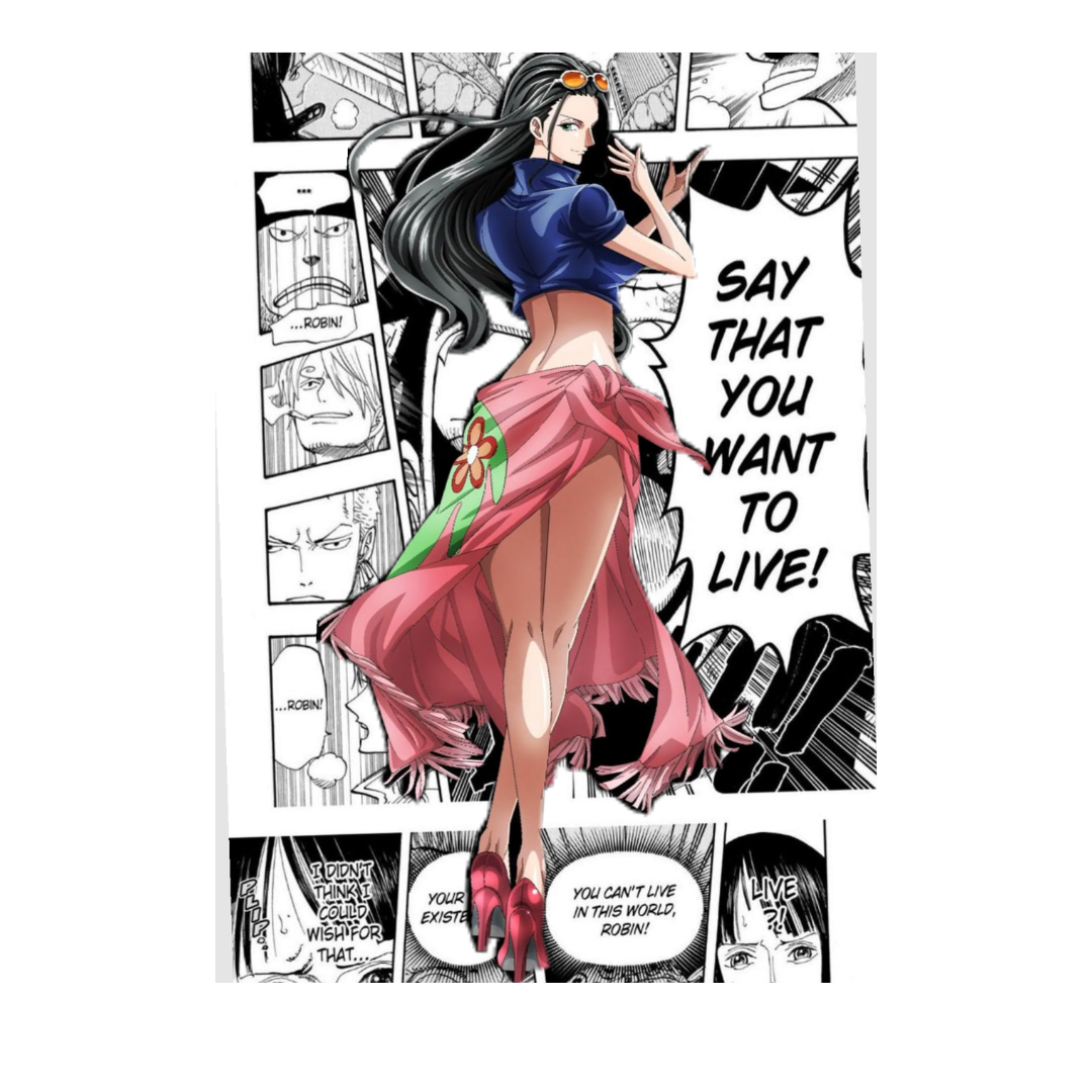 One Piece Collector's Edition Framed Poster #40 | StickerBD