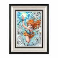 One Piece Collector's Edition Framed Poster #42 | StickerBD