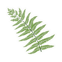 Plant 25 | Plant Premium Sticker | Plant Sticker