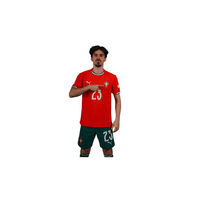 FC Portugal 26 | Portugal Football Sticker | Football Team - StickerBD