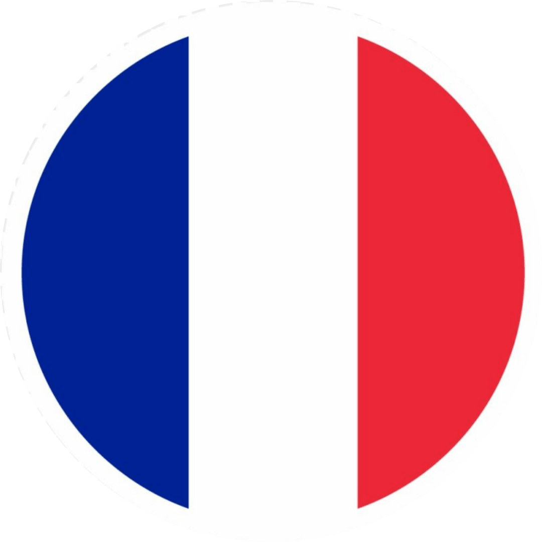 France Fan Tinplate Badge - StickerBD